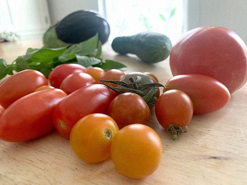 A pile of brightly-colored red and orange tomatoes. In the background and out of focus are an eggplant, zucchini, and basil leaves.