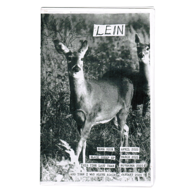 The zine: 