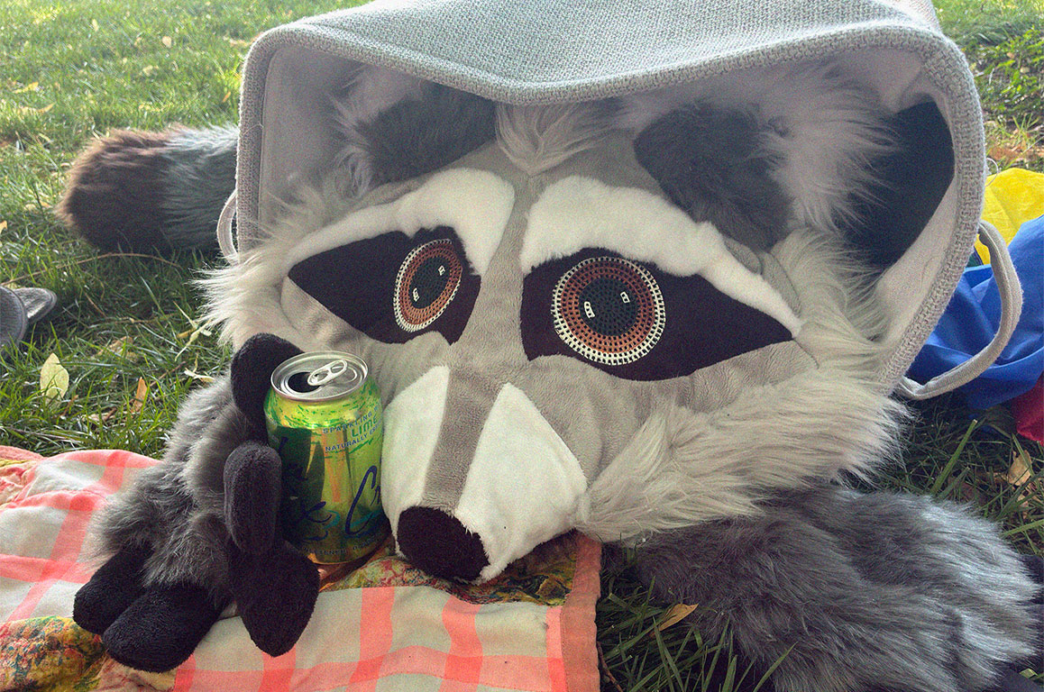 A plush raccoon coming out of a box